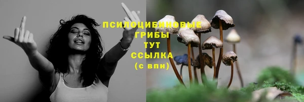 mdma Сосновоборск