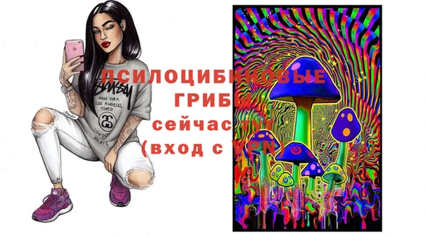 прущий лед Михайловск