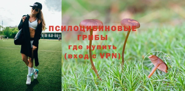 трава Бугульма