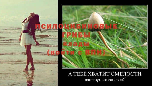 экстази Михайловка