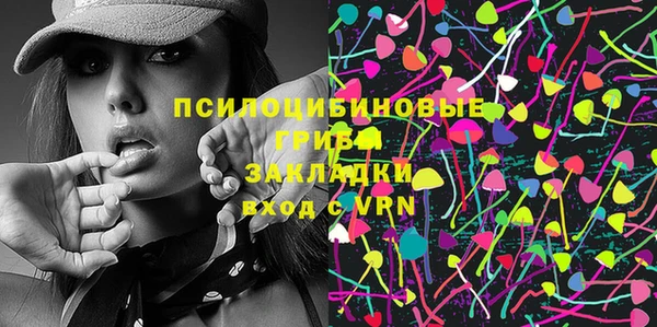2c-b Михайлов
