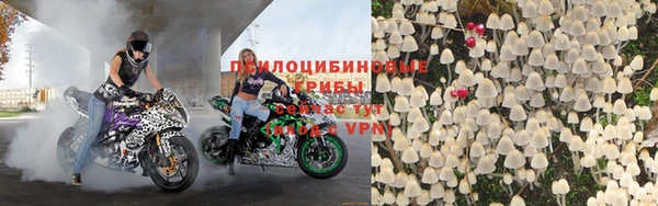 2c-b Михайлов