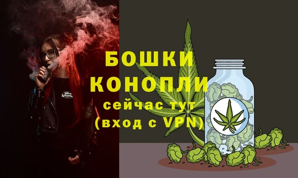 2c-b Михайлов