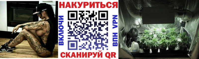 Марихуана план  мориарти формула  Ясный  купить закладку 